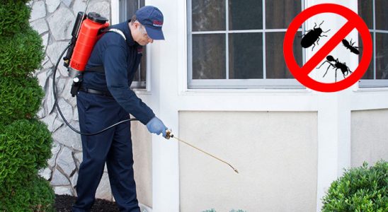 Toroslar Böcek İlaçlama böcek ilaçlama ve haşere kontrolü — ilaclama-tr.com
